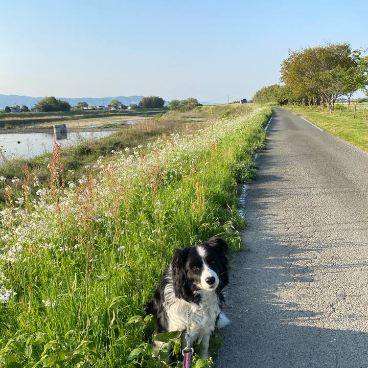 52c0525b 26bd 4004 a0db c49a5a9c5dfb 1617751511691