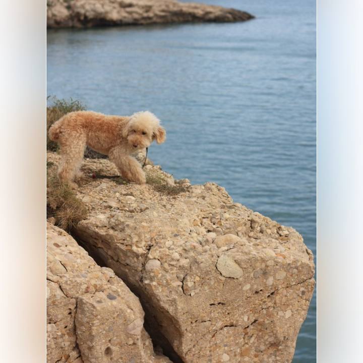 52c065b8 9c09 4506 82f6 8f5a81716368 1527777674238