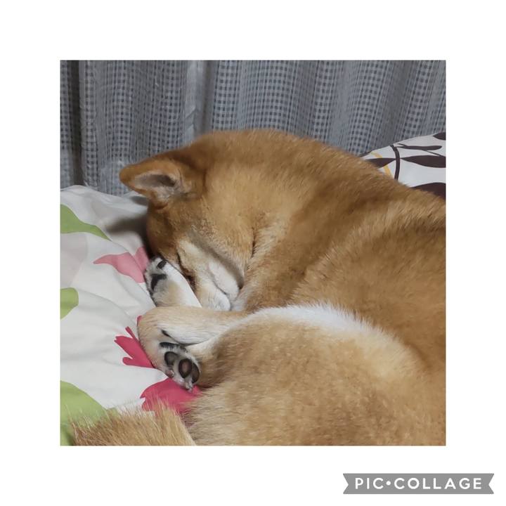 52c07a9d 90c3 4fa9 9ac8 8a94d1e97c64 1745597926267