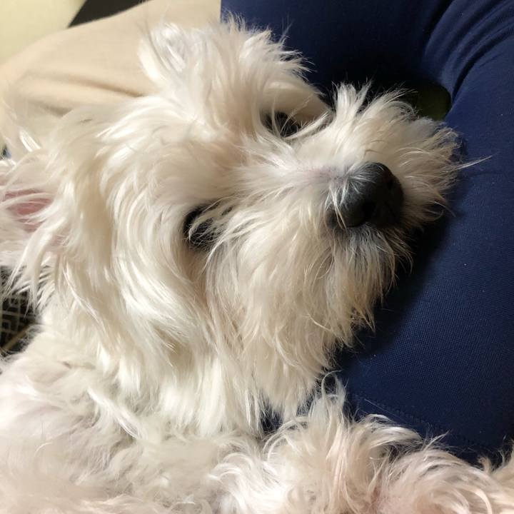 52c0b6c7 18f2 4f84 b829 b53da097e320 1567344812014