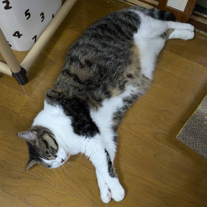 52c15940 8164 4271 8ebc ff7a21bc97c2 1718886703193