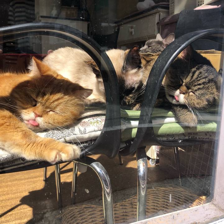 52c180bf 6ee0 4329 8390 4217173a79d9 1646533357620