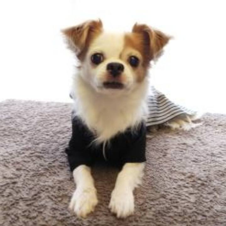 52c1c720 1a7b 49cf 814a 9bfbc2c5dda6 1704035681247