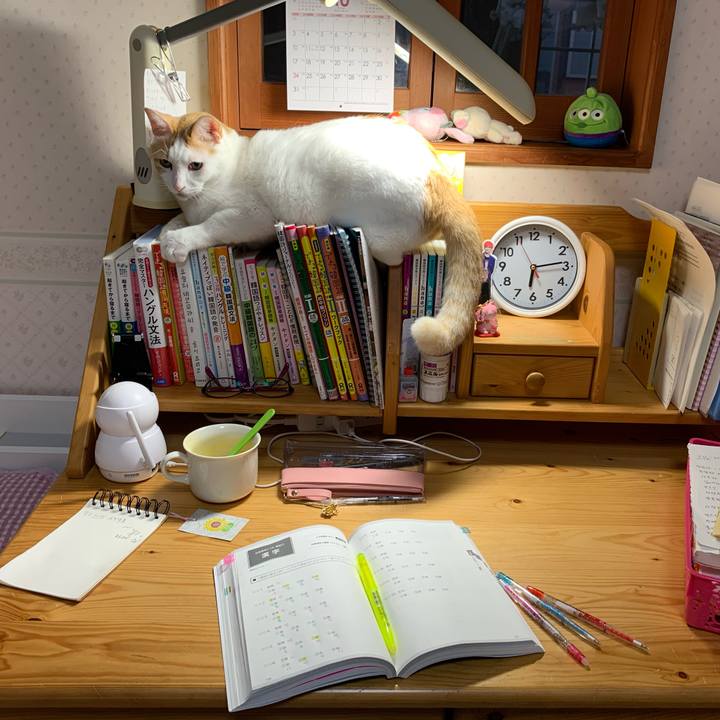 52c24647 e4ed 434d 881d 2e20c3955075 1634246266339