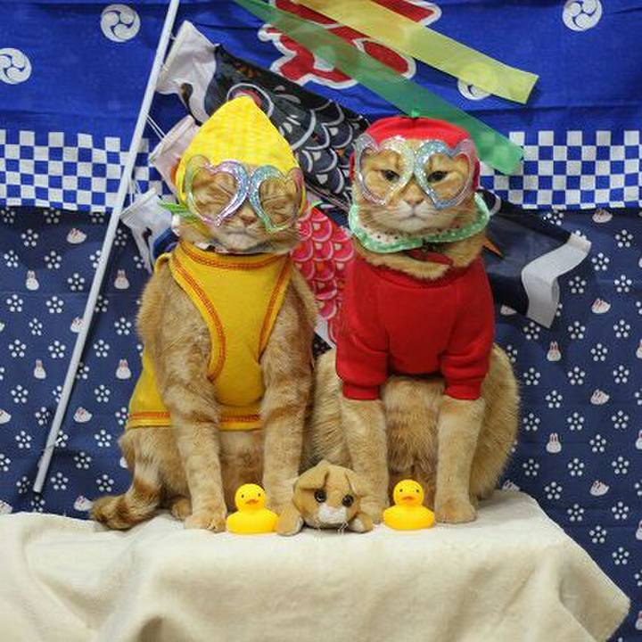 52c2542a c40d 4d5b 96b0 d58ebf4f43f8 1523952280149