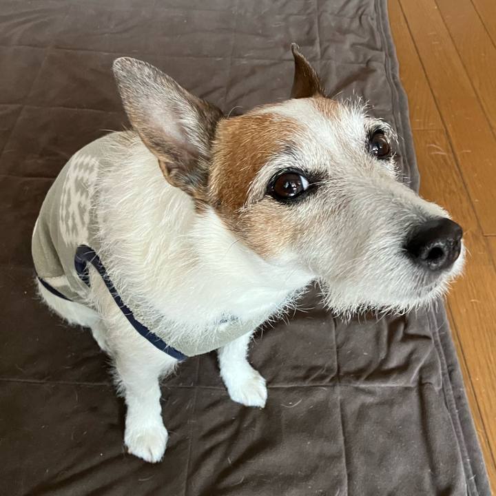 52c28592 bcef 4341 92e0 7990475c637e 1679186158557