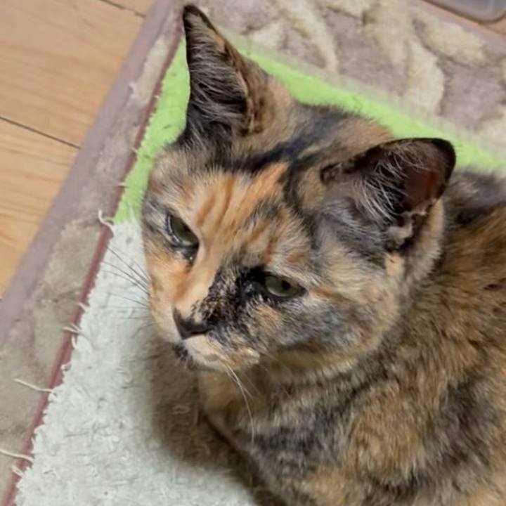 52c291cc 87fc 4025 9b84 2c9ced265342 1746131665329