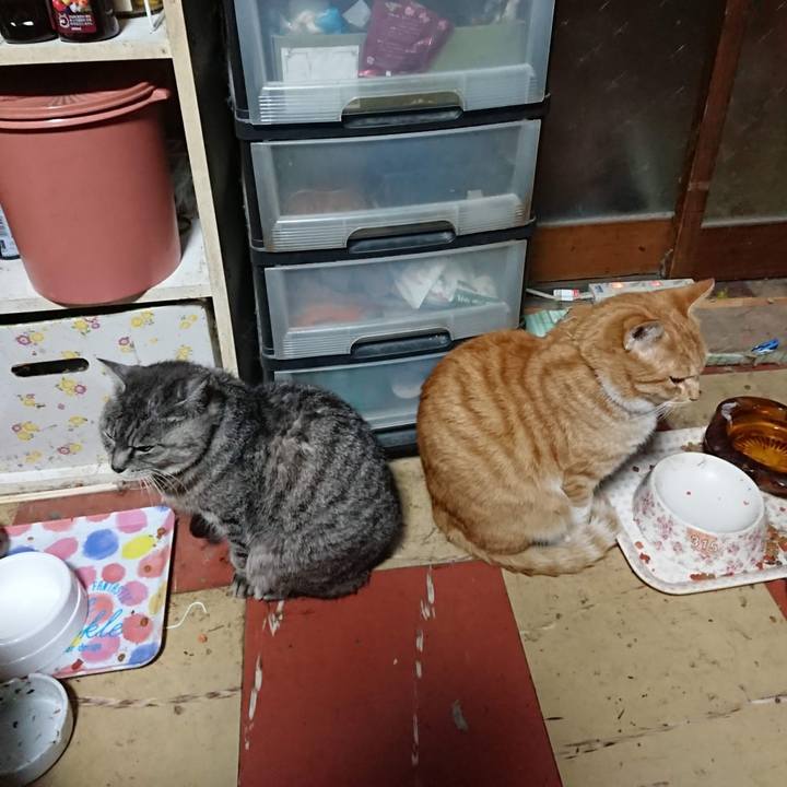 52c2a757 2cbd 4001 aca4 bef56f692a03 1604090574907