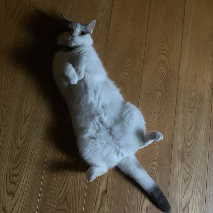 52c2d66f b070 4ccb b16b e7f850df5d39 1687872452087