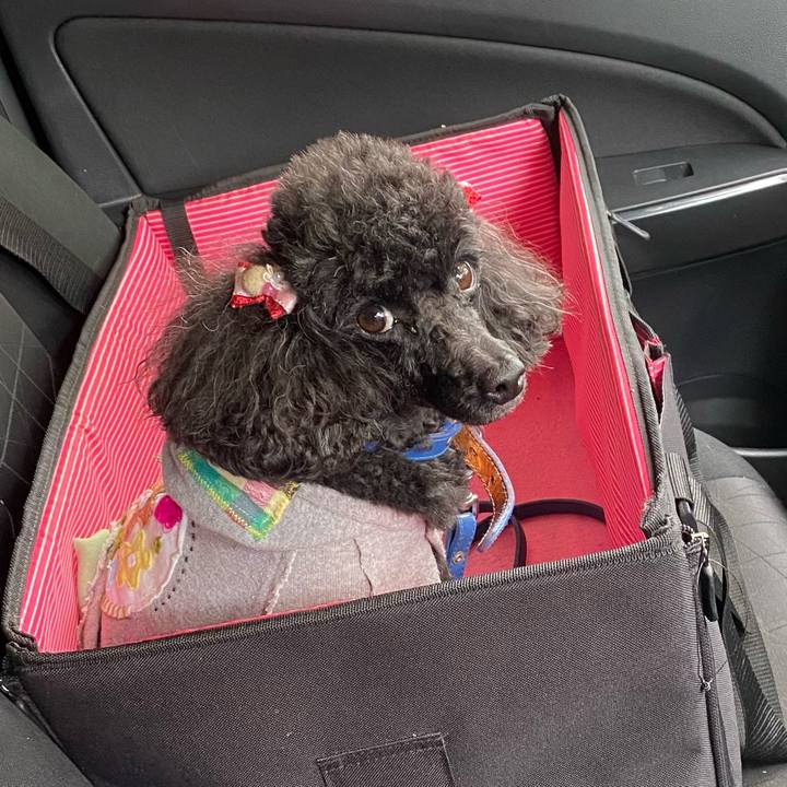 52c374a6 50e2 4906 8cf9 d1bce50b1962 1625295296278