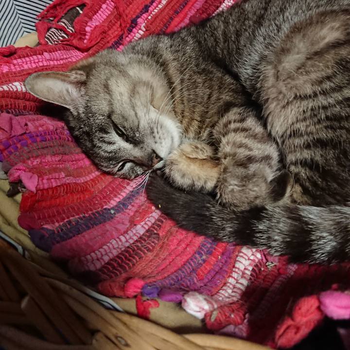 52c3d22b a093 425b a228 167fcdd8734f 1558171790167