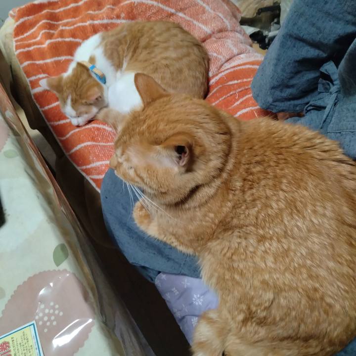 52c3f151 c0a8 4c7e b2cf 3b411d1b73b5 1737546344574