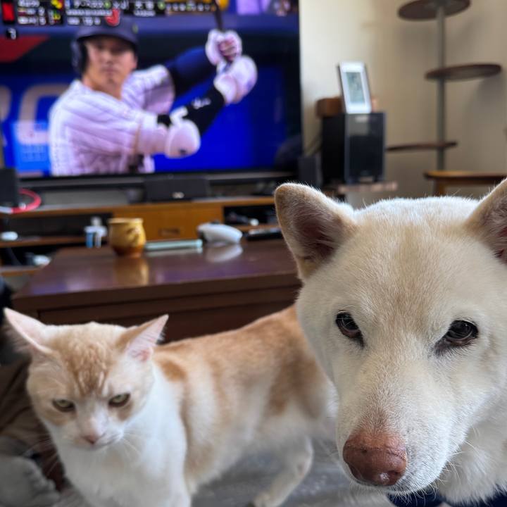 52c40232 9bbb 408f 8085 e02fda5fdb3f 1773548677070