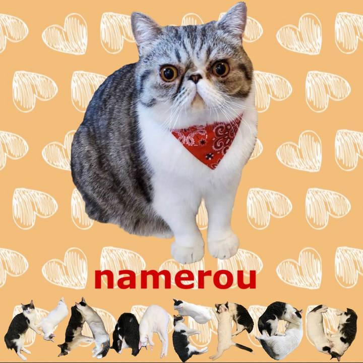 52c40935 ed8b 4026 b84a 35c37a60d112 1667696615111