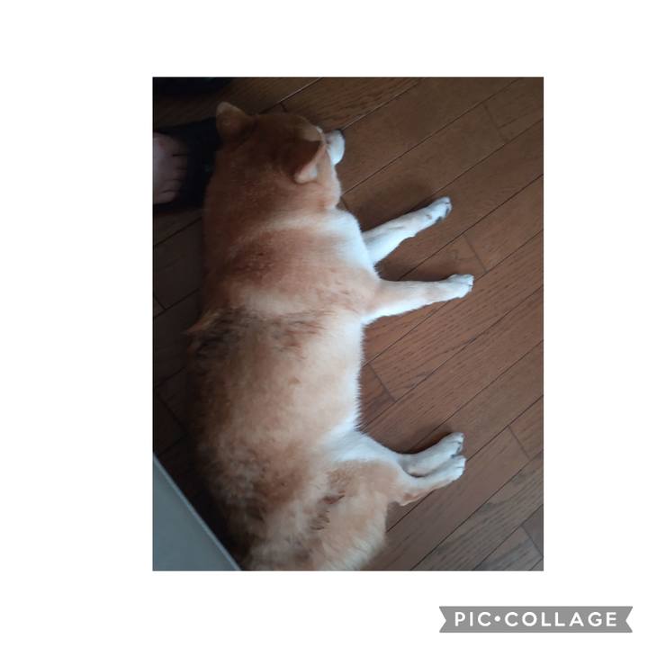 52c424d7 f413 4c35 8e9a 3838d298e517 1750241199435