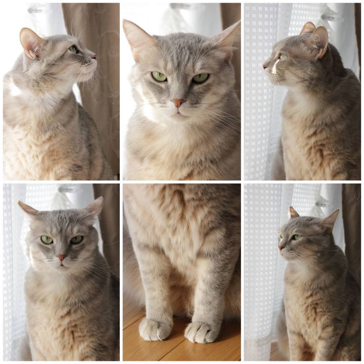 52c439f5 c529 4ac9 9241 91c6c429908c 1645941840566