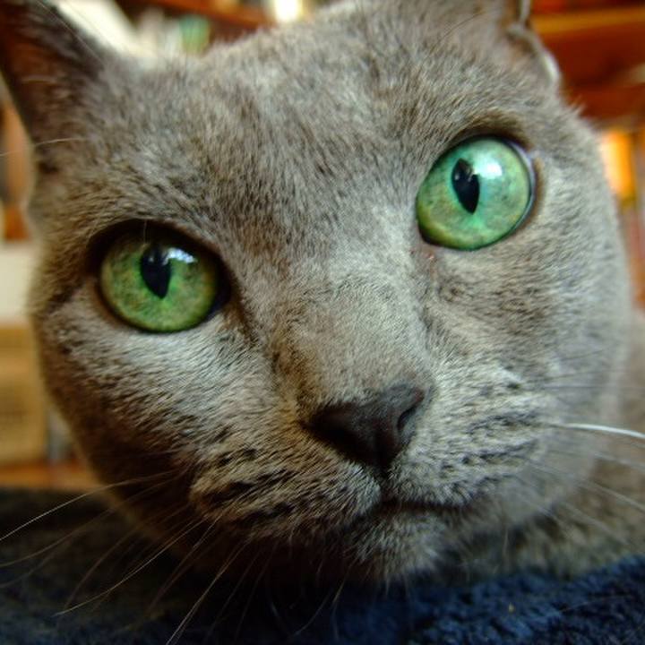 52c51045 b110 492f a77e c75b1be30318 1508030072805