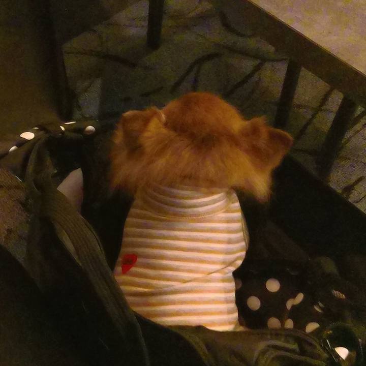 52c54b80 b0eb 4a97 ad9e 9e9032d434a7 1770438451921