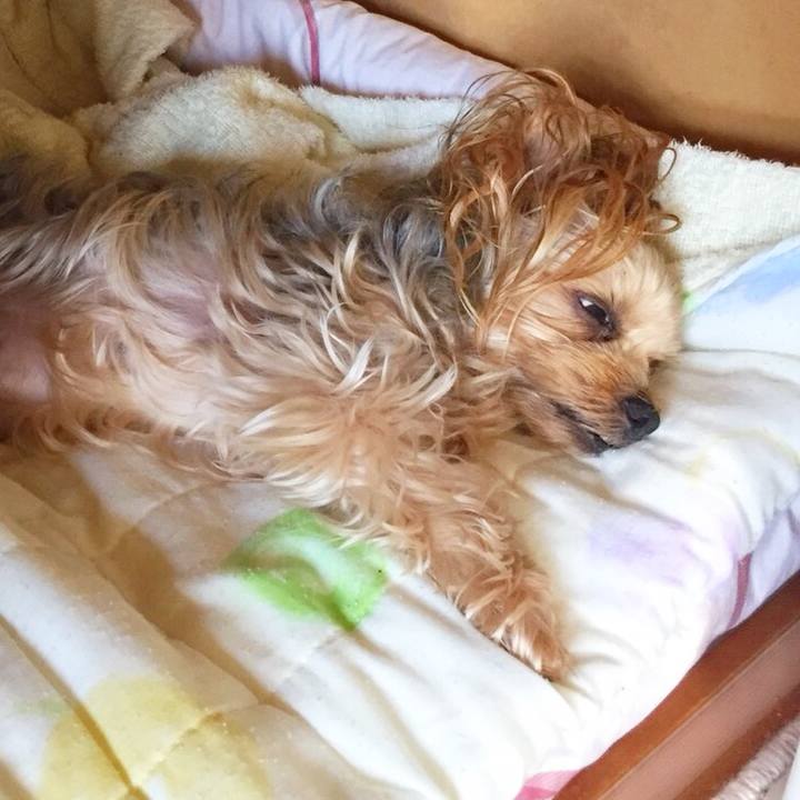 52c555ca fcce 4ae7 ae77 e536a2ab9737 1533024534792