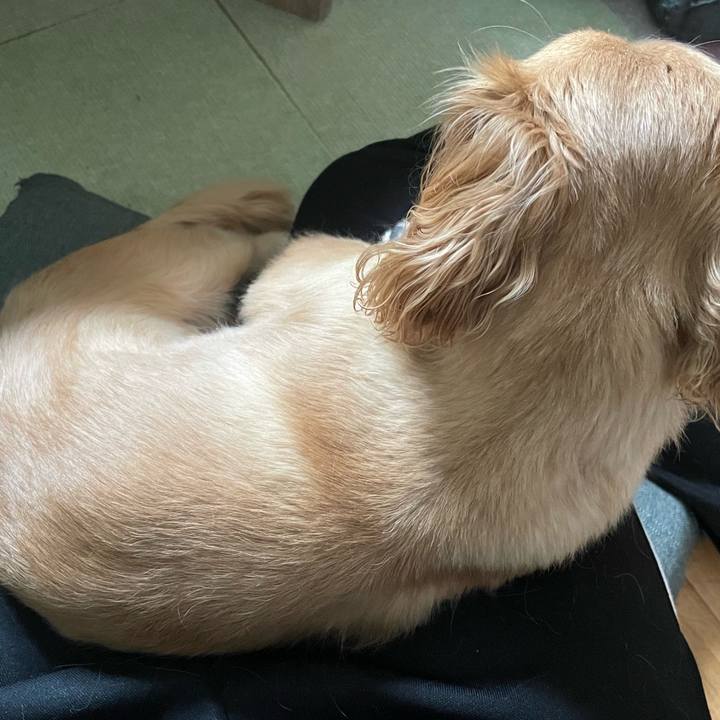 52c56e1a c821 4554 bc64 091f2ffee994 1693015465751