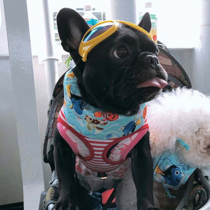 52c577b3 30eb 421d a770 31cb64ca09b3 1528428502620