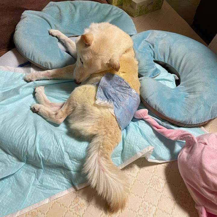 52c57c46 cd33 4341 a790 7db2132162b4 1661943132594