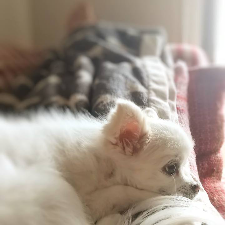 52c5b2d6 37aa 4502 b768 3a97016f71bd 1620452281983