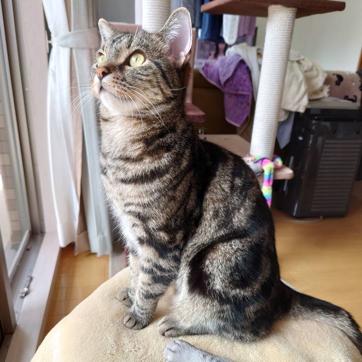 52c5c81a bb3d 4d6b be76 adfa8a687173 1652157628518