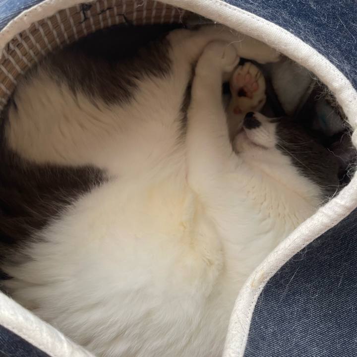 52c5dca6 b540 4509 a17f 77107eb44823 1748661428931