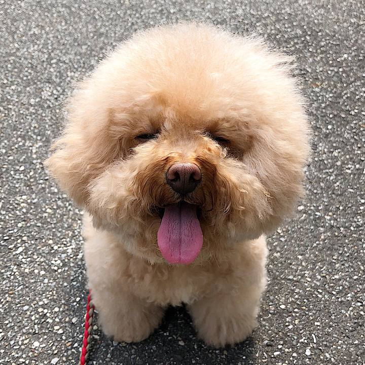 52c5dda2 7850 4c8e 903f ef20de3b1676 1526515324366