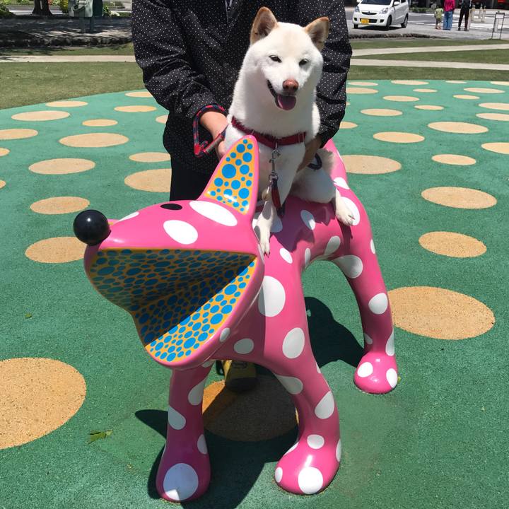 52c5df23 ca06 475d 90d1 b573a677d006 1526785056250