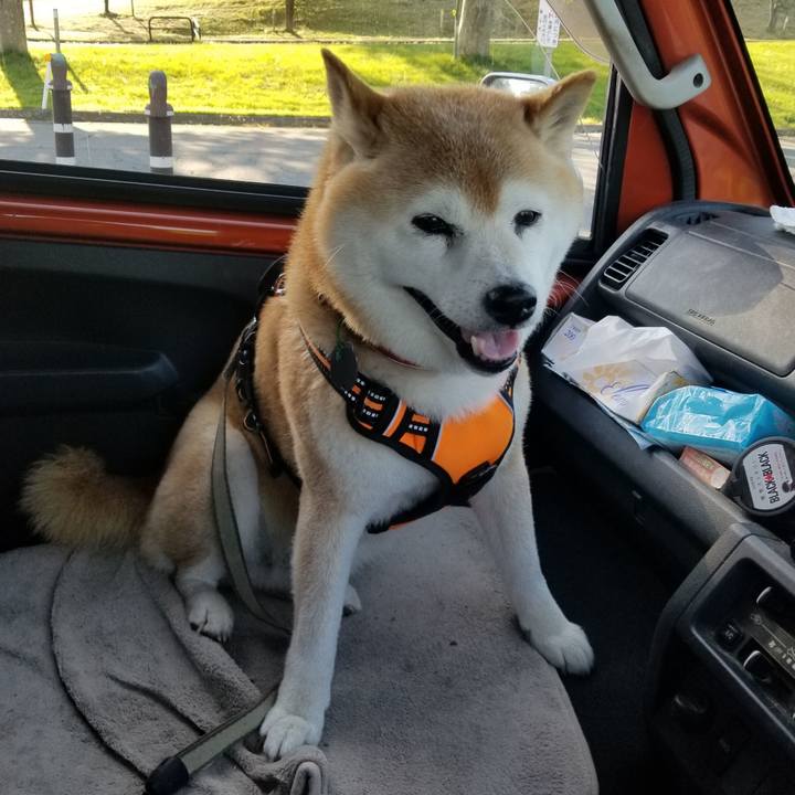 52c5fa8d a2a3 45f8 bb21 33640475f9d7 1715674600628