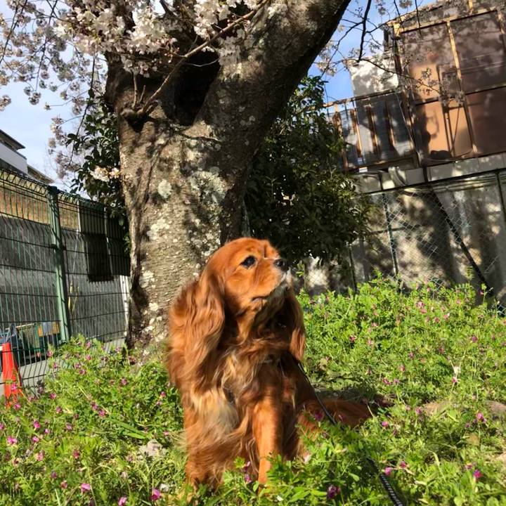 52c62a1e 6dd6 4abe 8246 077bbe44f5c0 1616886555875