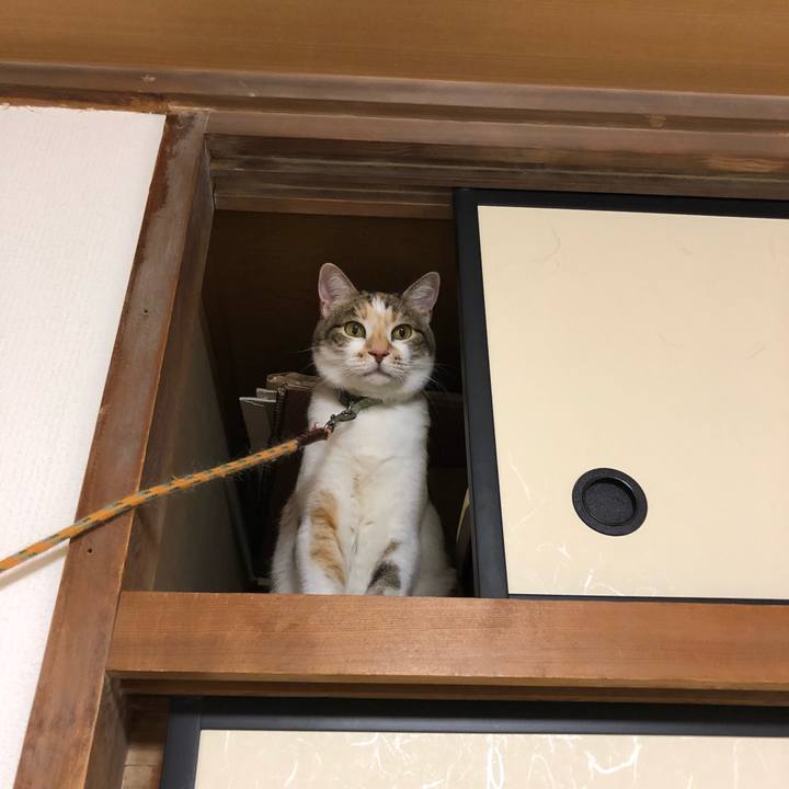 52c639c7 21ed 4616 a52c 31145137715d 1533376521638