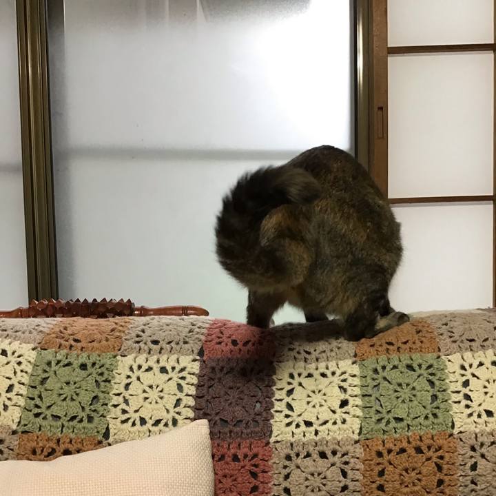 52c65500 4cbc 4254 8070 830e32e25cce 1600850119575