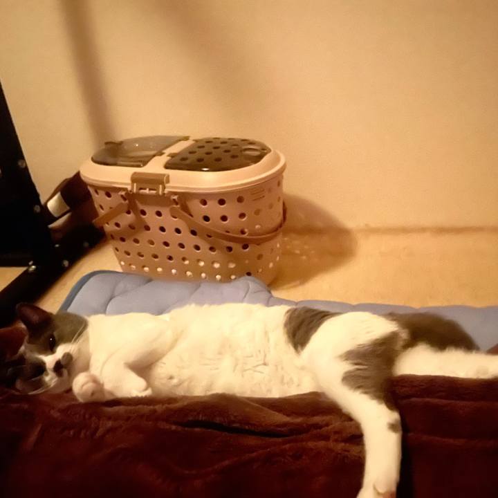 52c692f0 7c1e 4fc9 b6f7 470505561e25 1629199225212