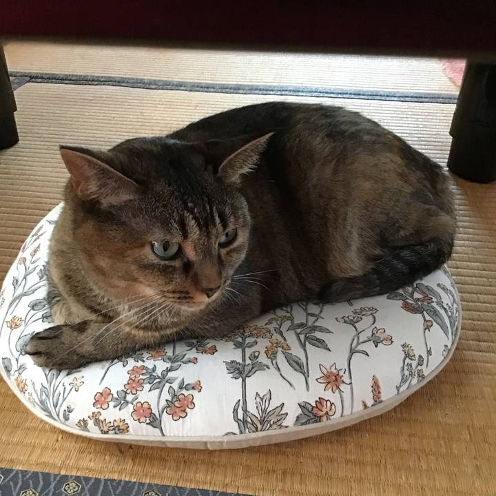 52c6adfc b05b 4824 9571 c815d689b988 1725755665332