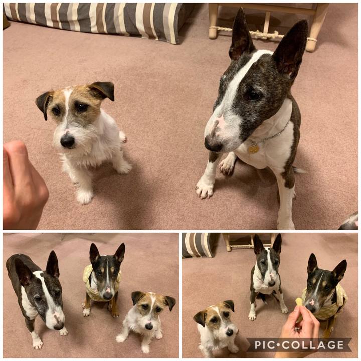 52c6b94f 4aa0 4071 99f8 8bde9d6d33fd 1583752867772