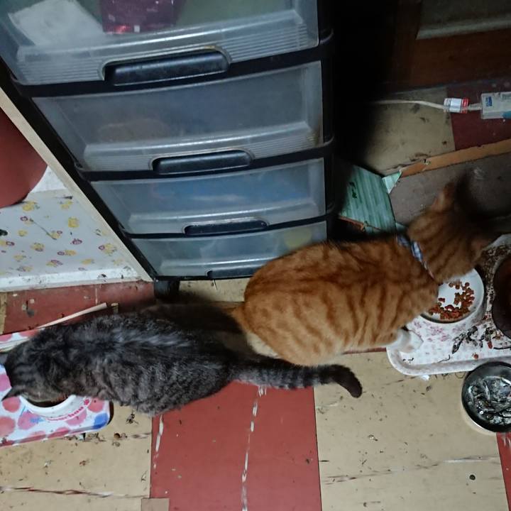 52c6c6fc c1e0 494c b9d7 1fbfca284680 1569183888092