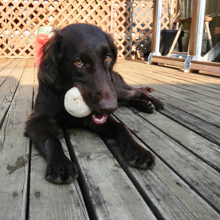 52c6d557 37d9 4a64 be16 fb7352a876a4 1564393716668