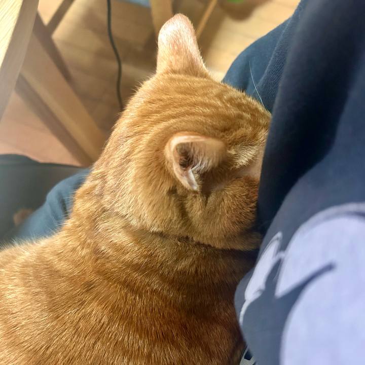 52c6de35 bce6 423a ac46 db82b8dfa799 1767006674368