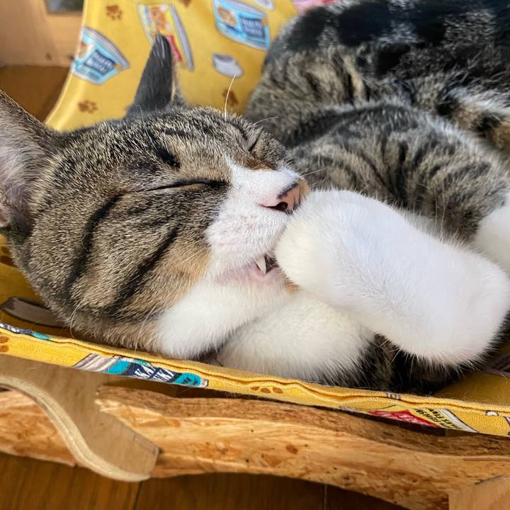 52c6e619 1697 485a 8d92 04b0517a231d 1663805789809