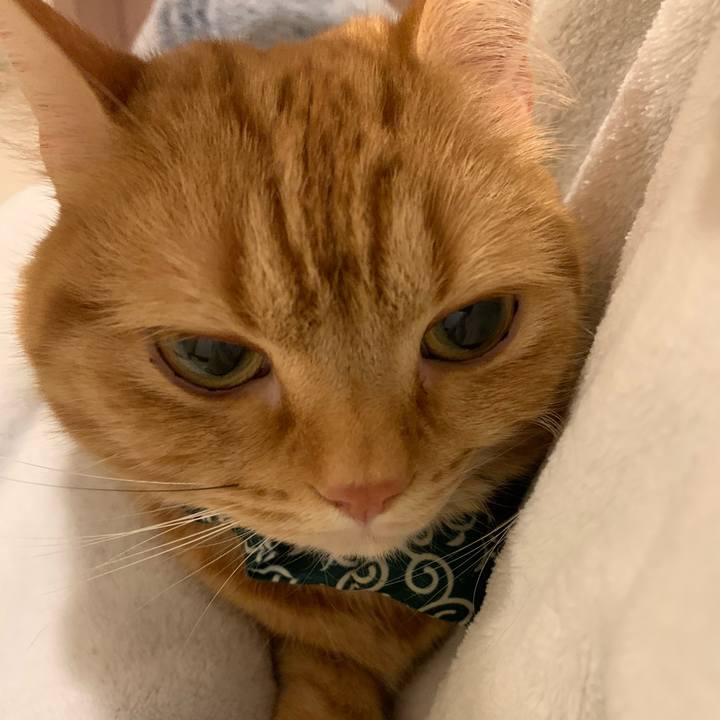 52c73fbd 8622 426d 8ad3 ff82f7939a09 1586385856448