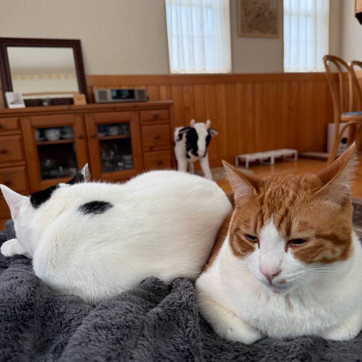 52c75d9e ab24 4a31 b081 c1252641de19 1772764764577