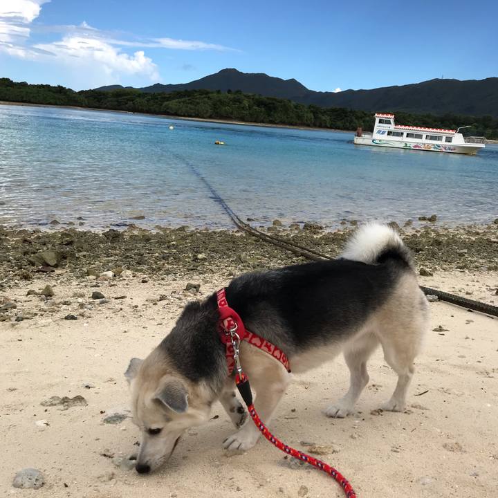 52c75ef2 73f4 42da 9248 7a3fd72c432a 1569738407442