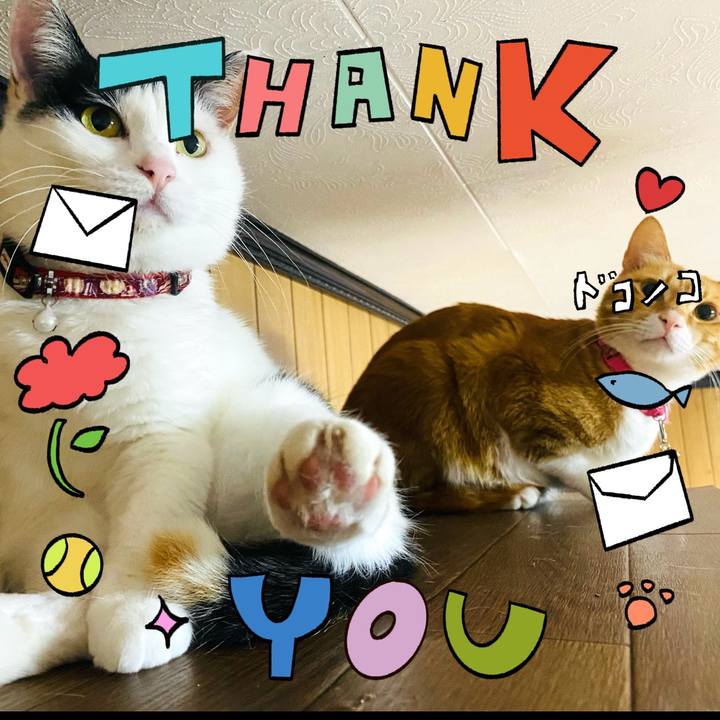 52c781f5 93e8 465c 8029 63704925b3ab 1715004498640