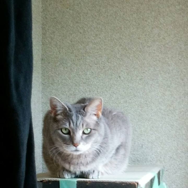 52c7bb8b 72e4 4a62 9d5c 1d7684e646c0 1559255954437