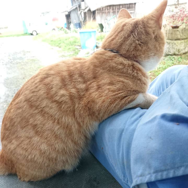 52c7bcd6 34a1 4317 b5d3 90008a986b39 1574494013710