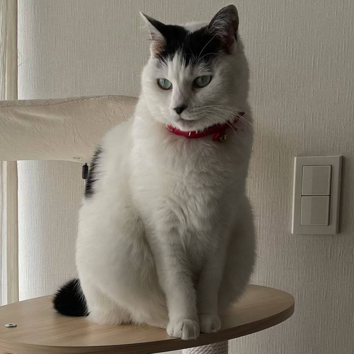 52c7c0e2 329f 43bc bba1 1db75a5c32ce 1615347798442