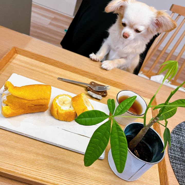 52c81d8e 6a94 444c b8d5 78b212b3e870 1717319628919